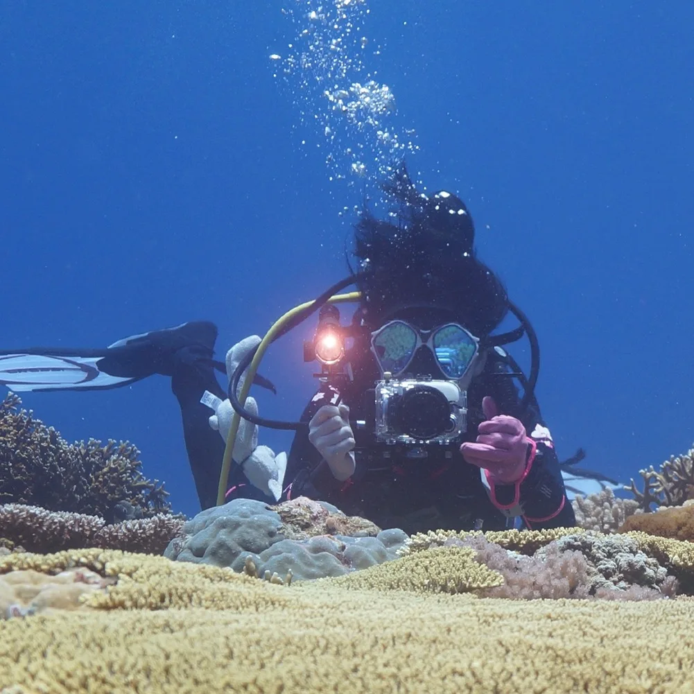 Dual Handles Aluminium Alloy Tray Stabilizer for Underwater Camera Housings Diving Camera Bracket