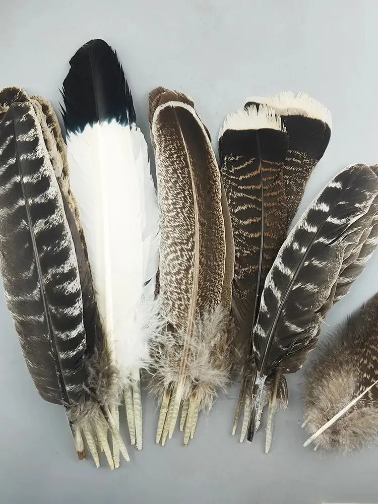 10/50 stuks natuurlijke kalkoenveer voor ambachten pluim vakantie decoratie carnaval DIY