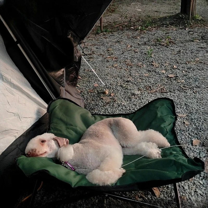 Thumbnail 3 - #17 Compare Puppy Sofa Beds Before You Buy