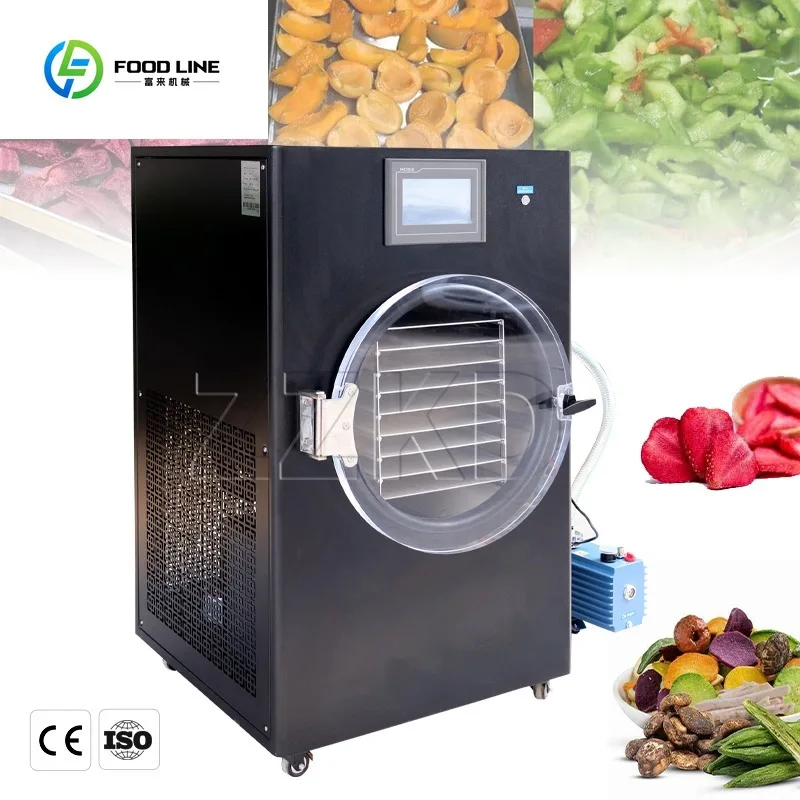 Portable Freezer Dryer Home Vegetables and Fruits Lyophilizer 4kg 5kg 6kg 10kg Small Freeze Dryer