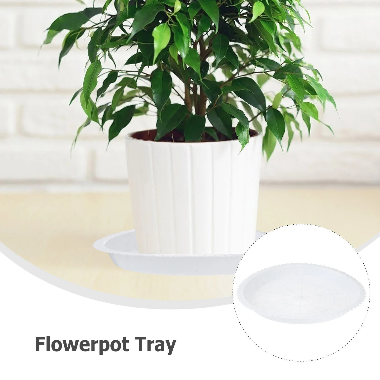 

10Pcs Plastic Flowerpot Tray Round Excellent Durability Flat Bottom Design White 260 Style Flowerpot Plate Garden Tool