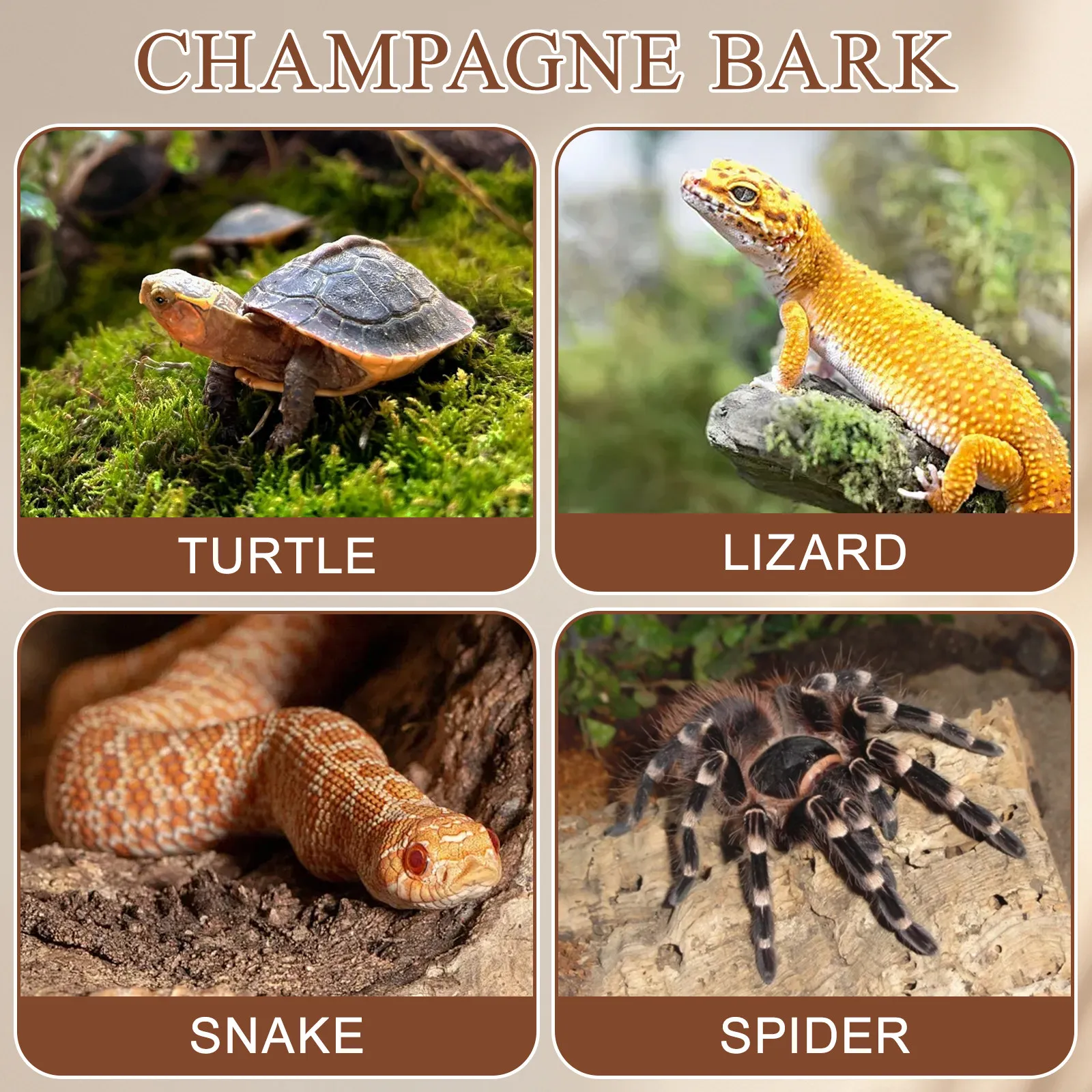 Thumbnail 4 - #32 Latest Pet Habitat Decors Offers