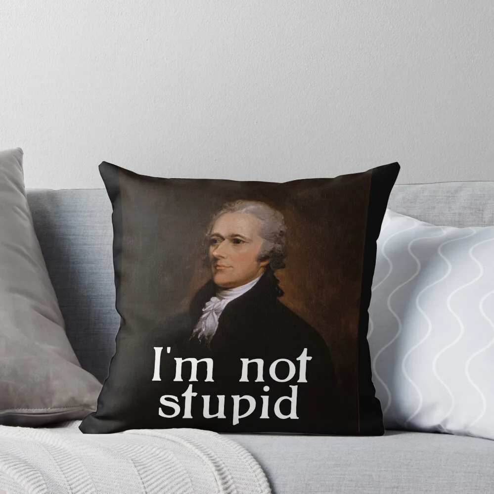 

I'm not stupid - Alexander Hamilton Throw Pillow Sofa Pillow Cover luxury decor pillow cover luxury Pillows Aesthetic