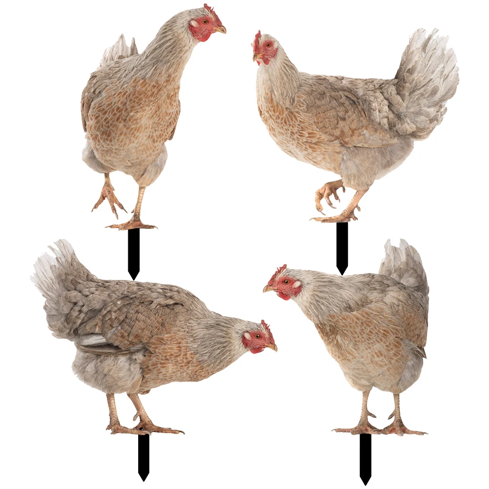 

4pcs Garden Hen Ornament Chicken Acrylic Decoration Yard Lawn Outdoor Decor Stake Durable Smooth Surface Fine Workmanship