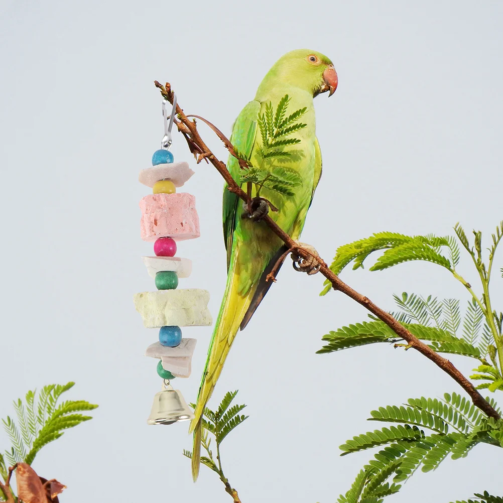 

2Pcs Parrot Cuttlebone Chewing String Cage Bell Teeth Grinding Plaything Bird Calcium Supplement Cuttlebone Chew Toy