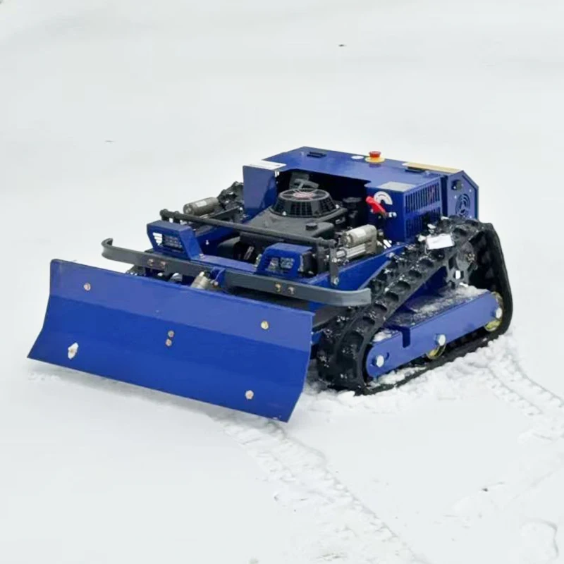 Customized Professi…