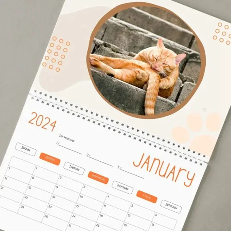 Calendario divertido para gato, 1 piezas, regalo divertido, para glúteos, 2024 como se muestra, testículos para gato, elefante blanco