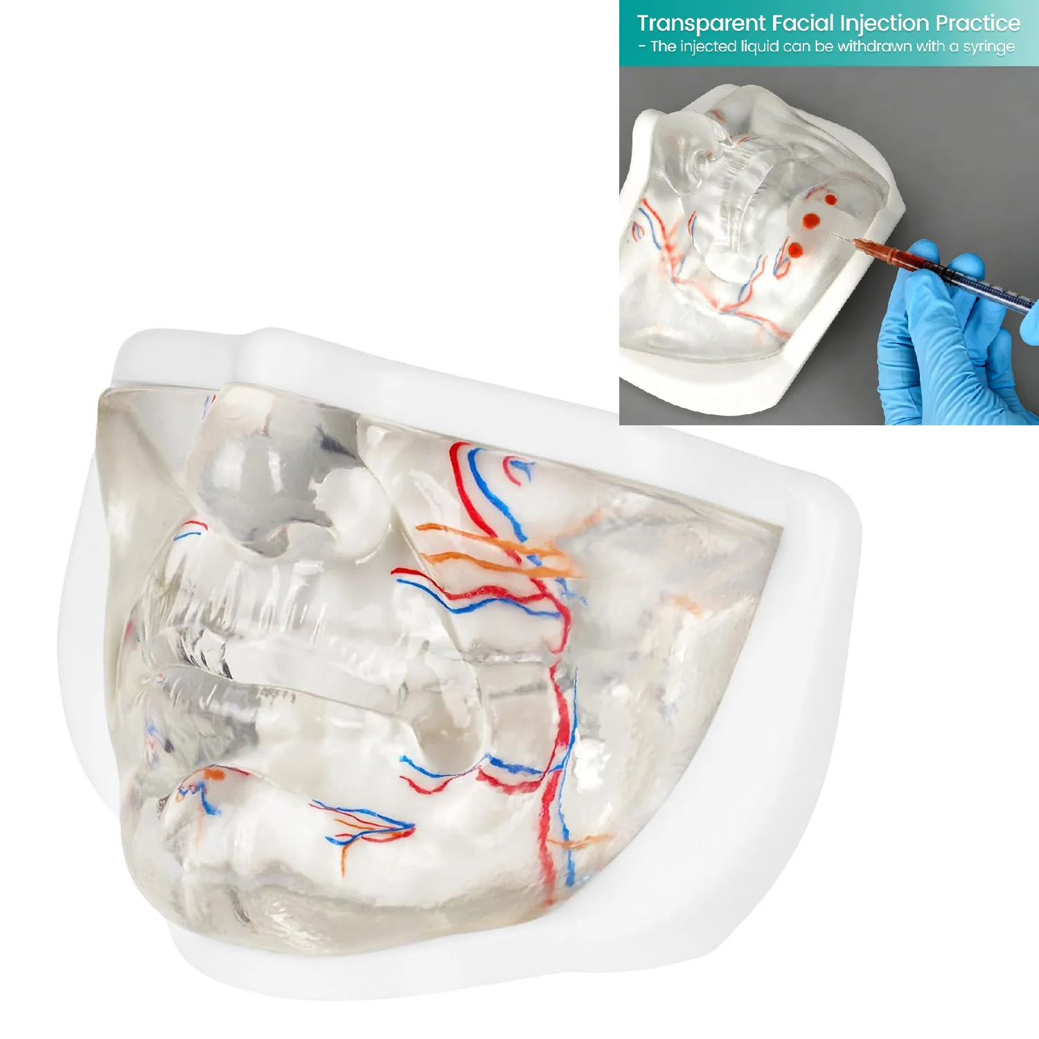 Transparent Facial Injectable Model Lower Face Injection Training Simulate Blood Vessels for Esthetician Medical Student Educate