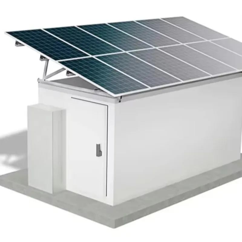 Cold Room Refrigeration Freezer Industrial Commercial Food Storage Preservation Quick Freeze Unit