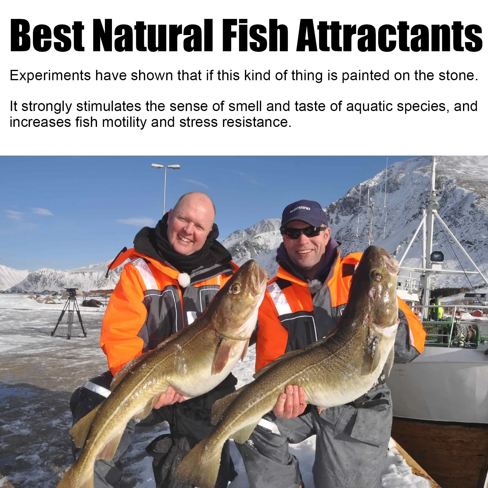 Natural Absorb Scent Fish Attractants For Absorb , Fishing Additive Spray High Concentration Absorb Attractant Enhancer 60ml