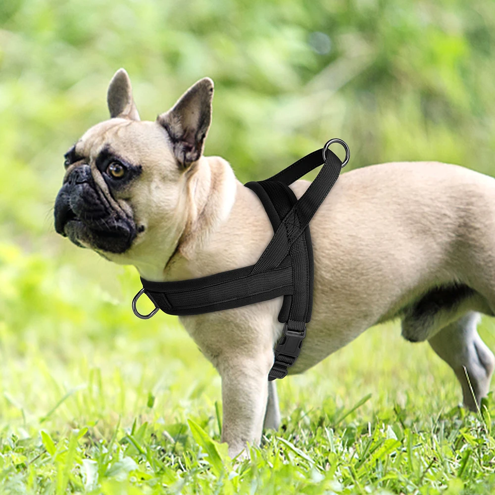 Weiches, nicht ziehendes Geschirr für kleine und mittelgroße Hunde, Nylon, Pitbull-Hunde-Welpengeschirr, gepolsterte Haustierweste, verstellbar für kleine Hunde, Chihuahua, Mops – Detail 17