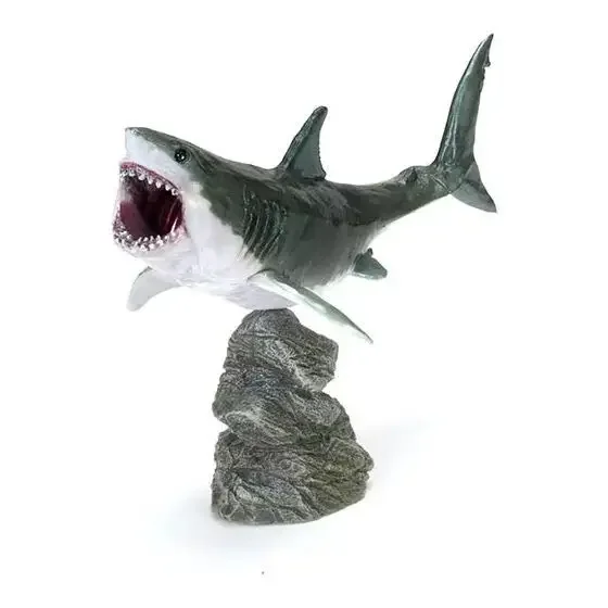 

Japanese Genuine Gacha Scale Model Biological Cognitive Model Marine Creatures Mini Great White Shark Action Figure Toys