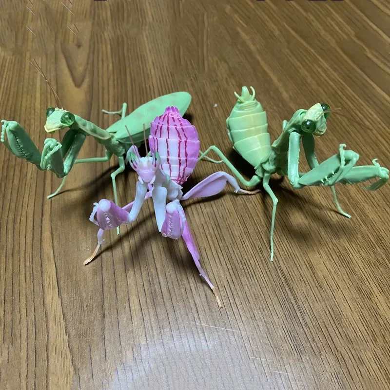 BANDAI figura de Gashapon de Japón, mapa de biología, orquídea, Mantis, modelo de insectos, cápsula Kawaii, juguetes, estatuilla para niños, regalo para niñas