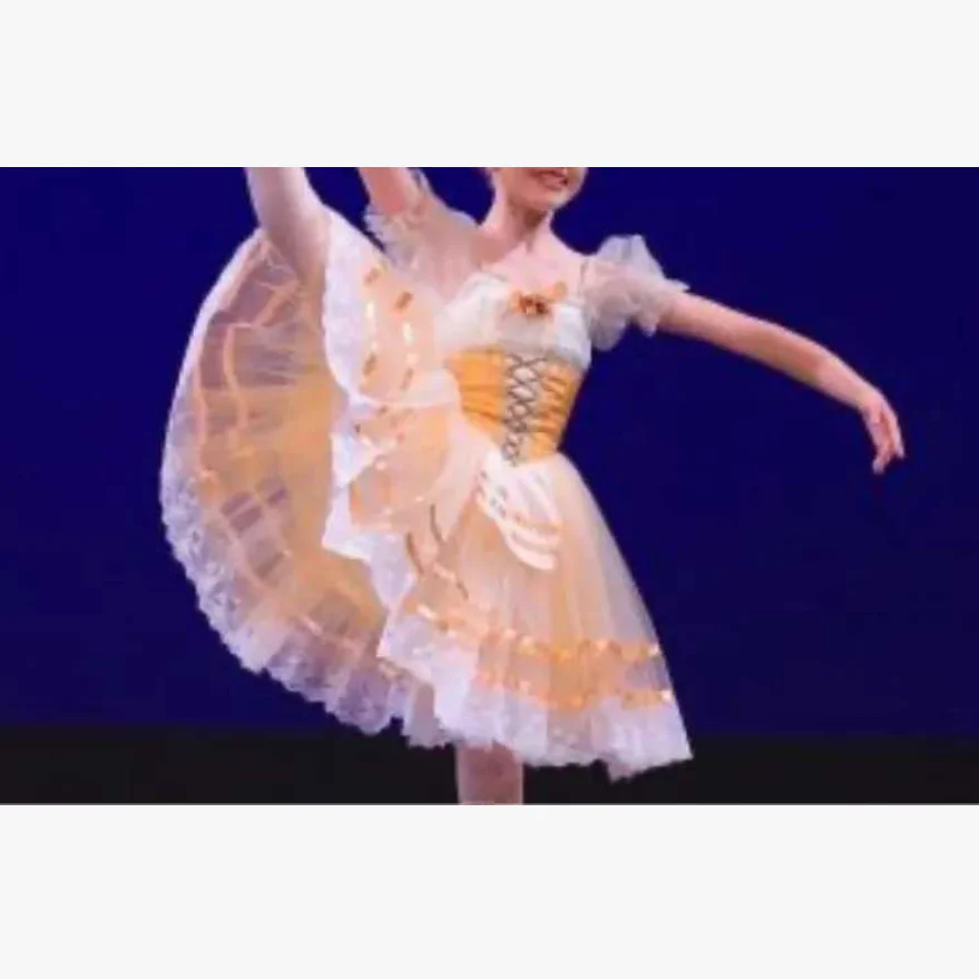 

Giselle Gepelia et al. Variant Ballet Dance Skirt Professional Personalized Customized Performance Dress for Adults and Children