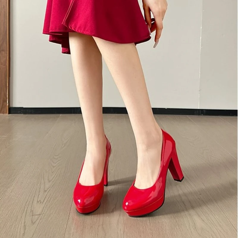 Lady's Elegant Plus… - image