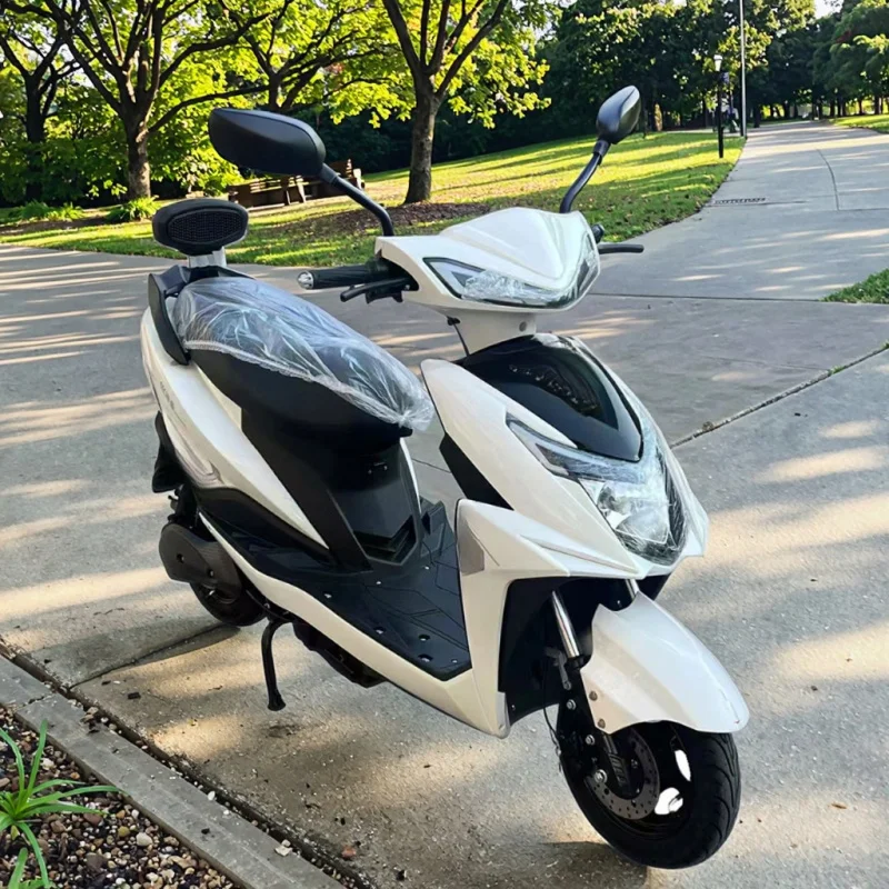 Affordable High Performance Adult Two-Wheel Electric Bicycle For Urban Commute & Leisure Road Riding