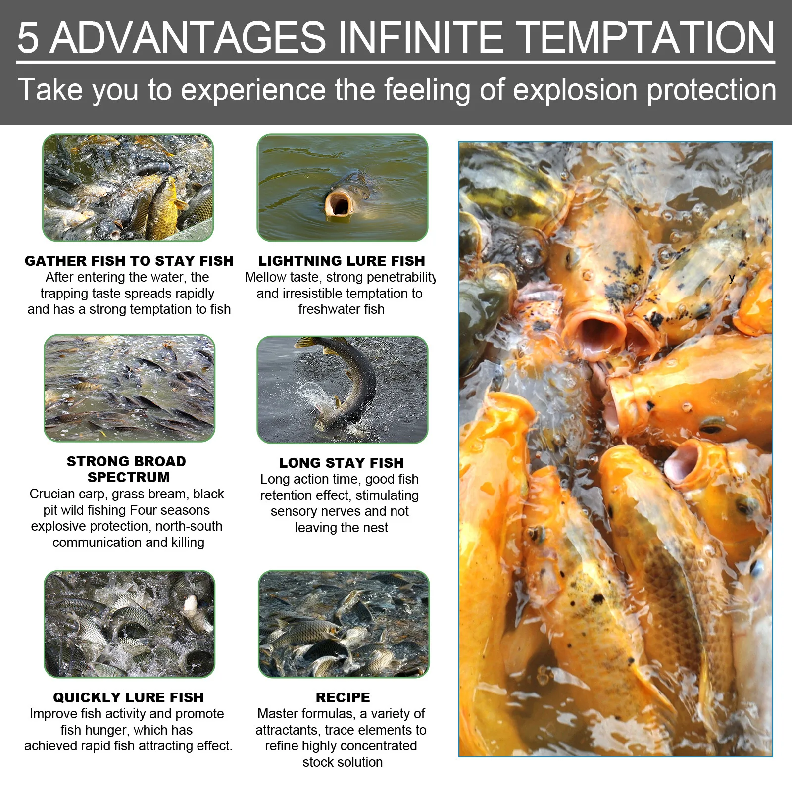 Concentrated Fish Attractant Powder Shrimp Lure Freshwater Fish Bait Additive for Carpperch Catfish Trout Blood Worm Scent 30g