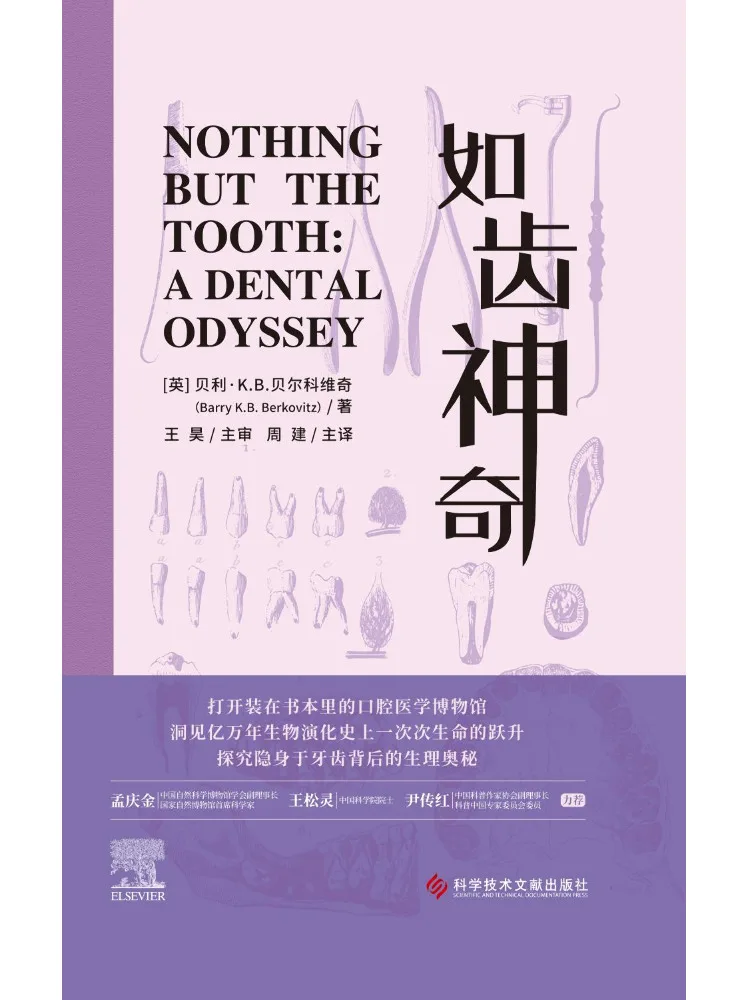 Book-Winshare Like Magic A Dental Odyssey