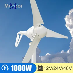 1000w Horizontal Wind Turbine High Efficiency Windmill 12v 24v Wind Energy Generators Electric Generator Home Appliance Camping