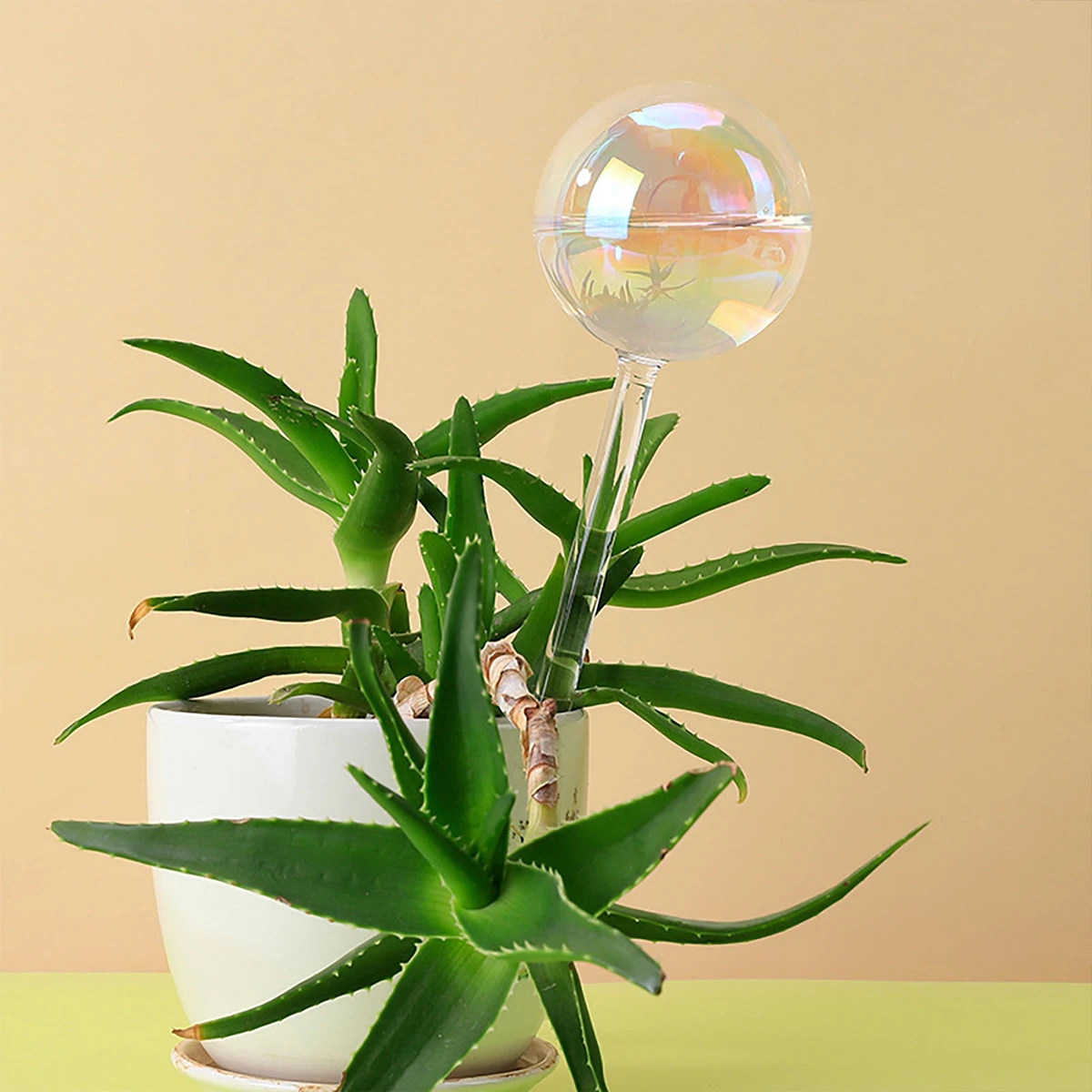 2 Pcs Self Watering Bulbs Automatic Plant Watering Globes Slightly Iridescent Rainbow Gradient Clear Glass Self Watering System