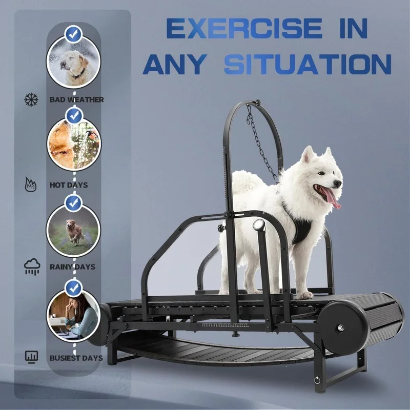 Special Stainless Steel Treadmill for Large Medium-sized Dogs Height Adjustable Pedometer Brake Step Counting for Dog Training