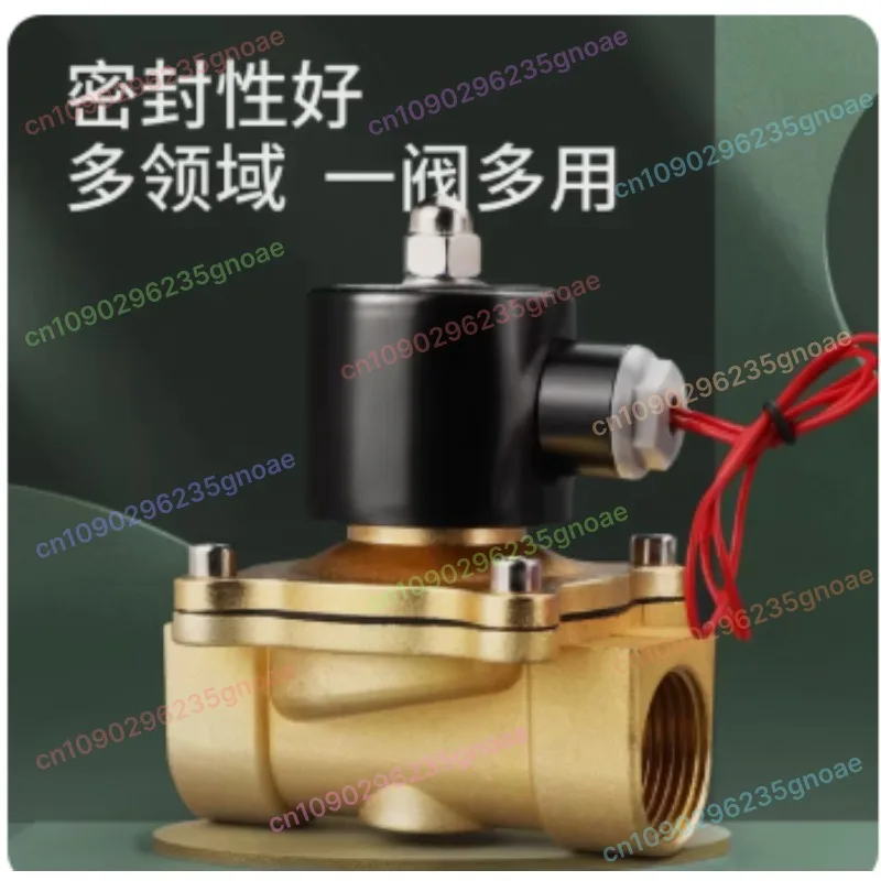

2W160-15/2W200-20 Normally Closed Solenoid Valve - Pure Copper Coil for Water/Air (AC220V, DC24V, DC12V)
