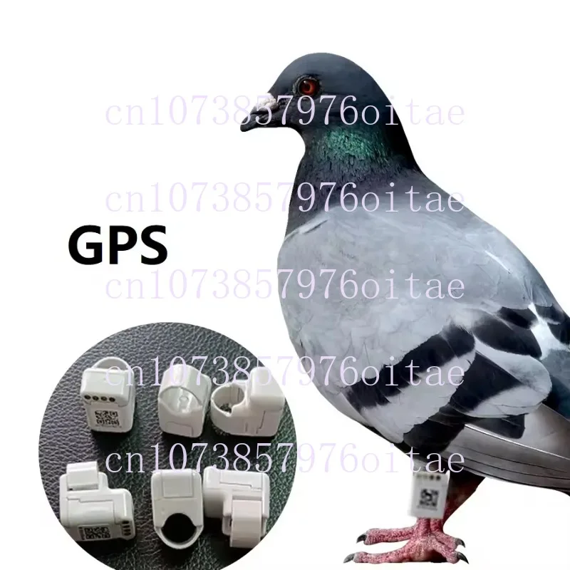 Real-time Location Bird Tracker Gps Pigeon Tracking Foot Ring for Pigeon Racing Training with App Playback Gps Para Pajaros