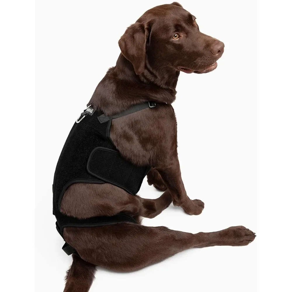 Dog Canine Back Brace - IVDD Spine Pain, Arthritis, Bulging Discs Brace for Surgery Recovery,Inflammation,Back support