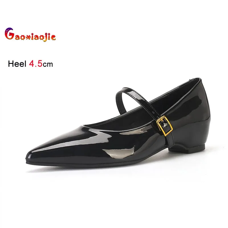 

2026 French Style 4.5CM High Heels Women Mary Janes Shoes Elegant One Word Strap Coarse Heel Pointy Toe Commuting Single Shoes