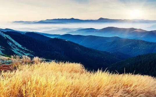 

Foxeer Datura 2306.5 Brushless Motor - 2550KV(4S)/2020KV/1850KV(6S) for RC FPV Racing Drone - 5-6inch Prop Compatible