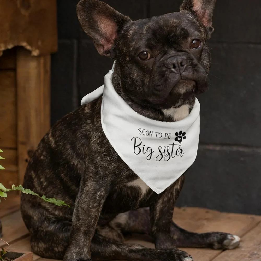 Soon To Be Big Brother Pregnancy Announcement Dog Bandana New Baby Birth Reveal Mom's Pregnant Baby Shower Pet Gift Party Decor
