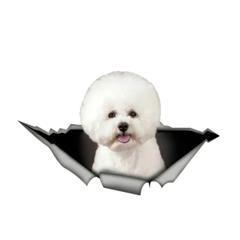Engraçado bichon frise rasgado metal adesivo de carro 13cm x 8cm decalques de vinil para automóveis e motocicletas acessório exterior