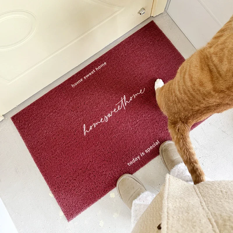 Korean Solid Color Entrance Door Mat Wire Loop For Home Use Door Mat For Entryway Dirt Resistant Door Mat For Entryway