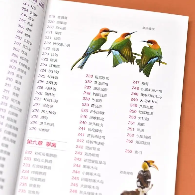 Рисунок 3 - Иллюстрационная книга птиц/иллюстрационная