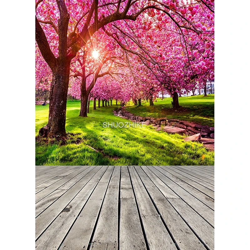 Tablones de madera y suelo de colores sólidos, accesorios de fotografía, luces y sombras deslumbrantes, WP-03 de fondo para retrato