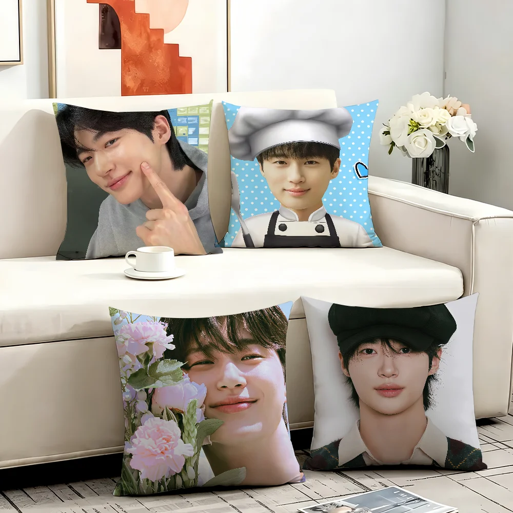 Korean model B-Byeon W-Woo-seok cushion cover Comfortable Decorative For Bedroom Living room Dormitory Picnic and Holiday