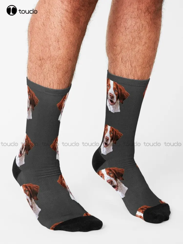 Brittany Spaniel Looking Gorgeous Socks Mens Socks Black Personalized Custom Unisex Adult Teen Youth Socks 360° Digital Print