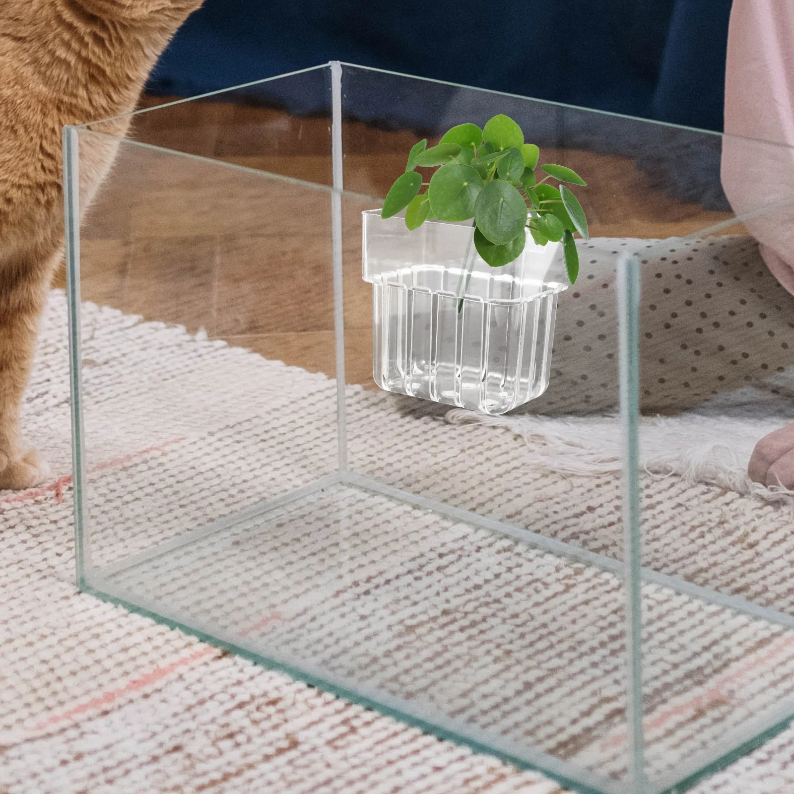 

Aquatic Plant Clear Holder Hanging Planter Pots for Aquarium Fish Tank Decor Aerationfriendly Openwork Design Visual Appeal