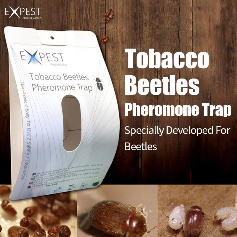 Category image: Sticky Mosquito Paper