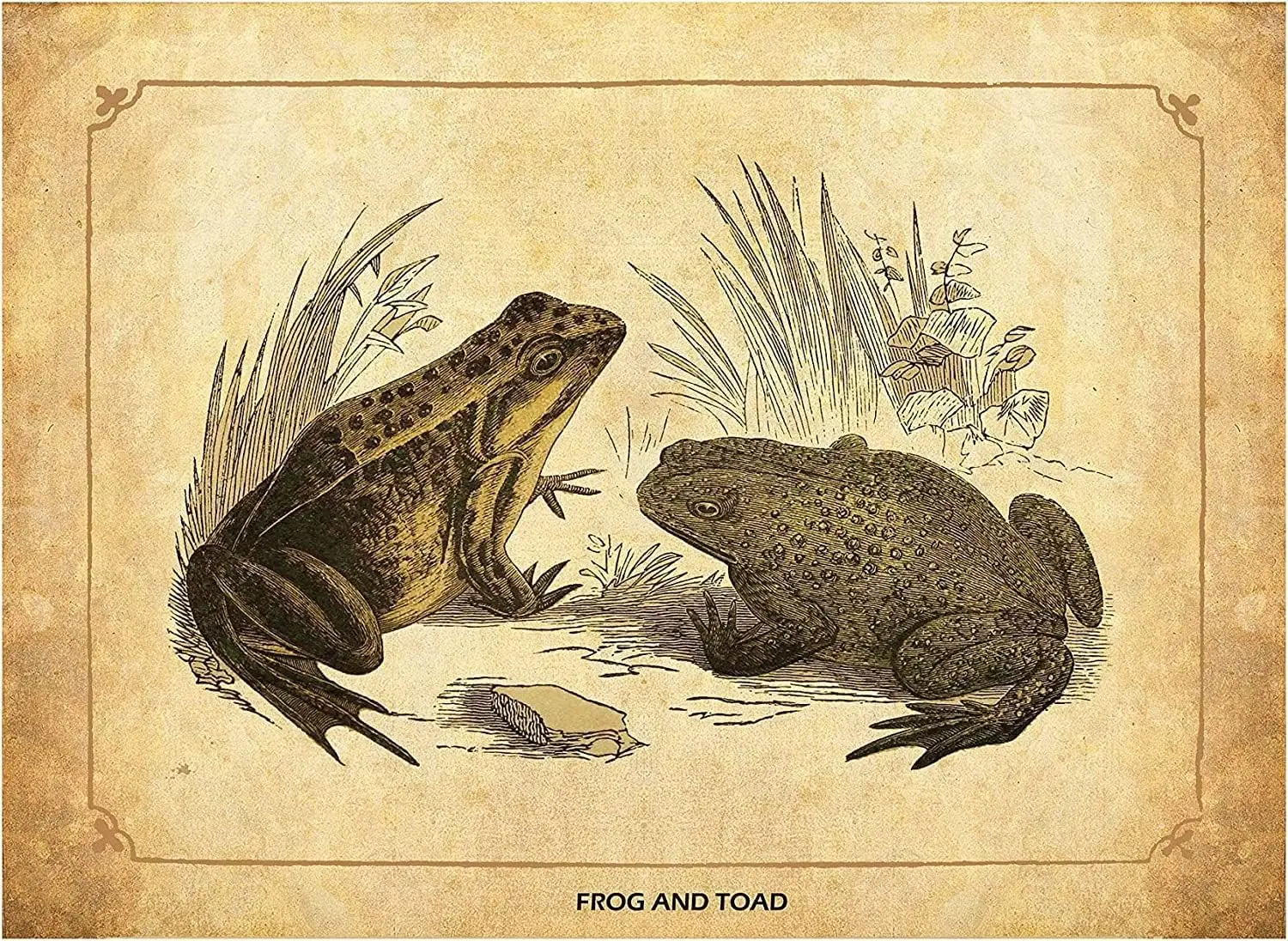 Vintage Tin Wall Decor Frog and Toad Retro Tin Signs Metal Poster Vintage Metal Tin Sign Wall Decor Home Beer Metal