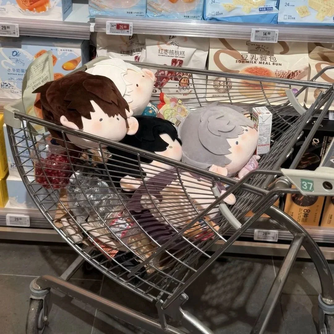 

30cm Love and Deepspace Big Head Plush Dolls Set Rafayel Aster Zayne Sylus Caleb Anime Style Collectible