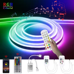 Tuya 스마트 LED 조명 RGB 유연한 네온 스트립, 12V 밝기 조절 와이파이, 블루투스 컨트롤러, IR 원격 제어, 방 장식 알렉사