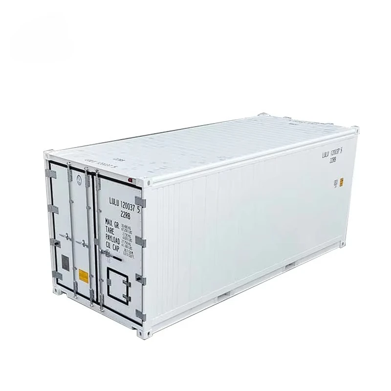 Customized Real Minus 30 Degree 28CBM 20ft Length 20 Feet Reefer Freezer Storage Shipping Container Cold Room