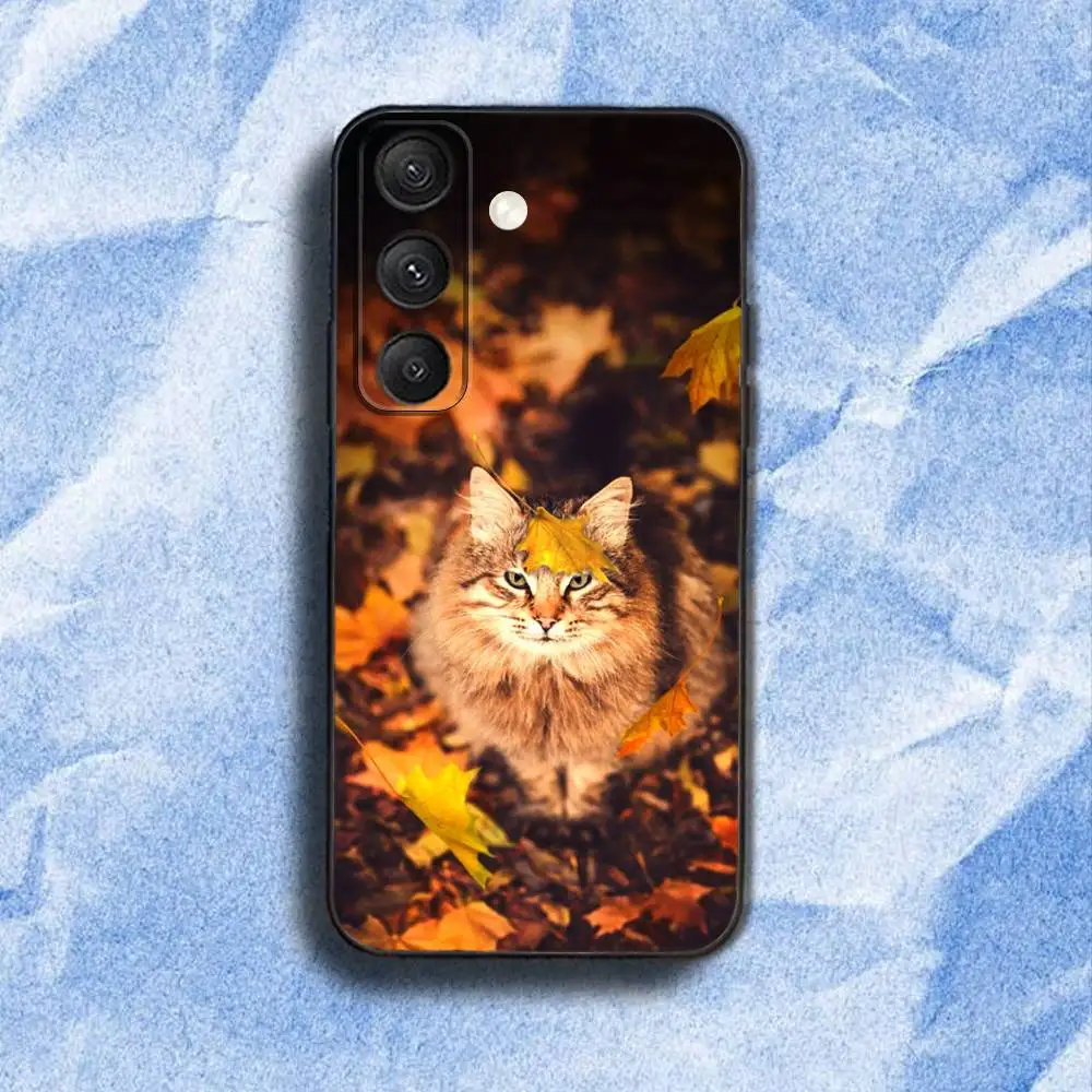 A-Autumn L-leaves cat 電話ケース Samsung S 25、24、23、22、30、21、10、9、ウルトラ、プラス、ライト、FE、4、5G ブラックソフトケース