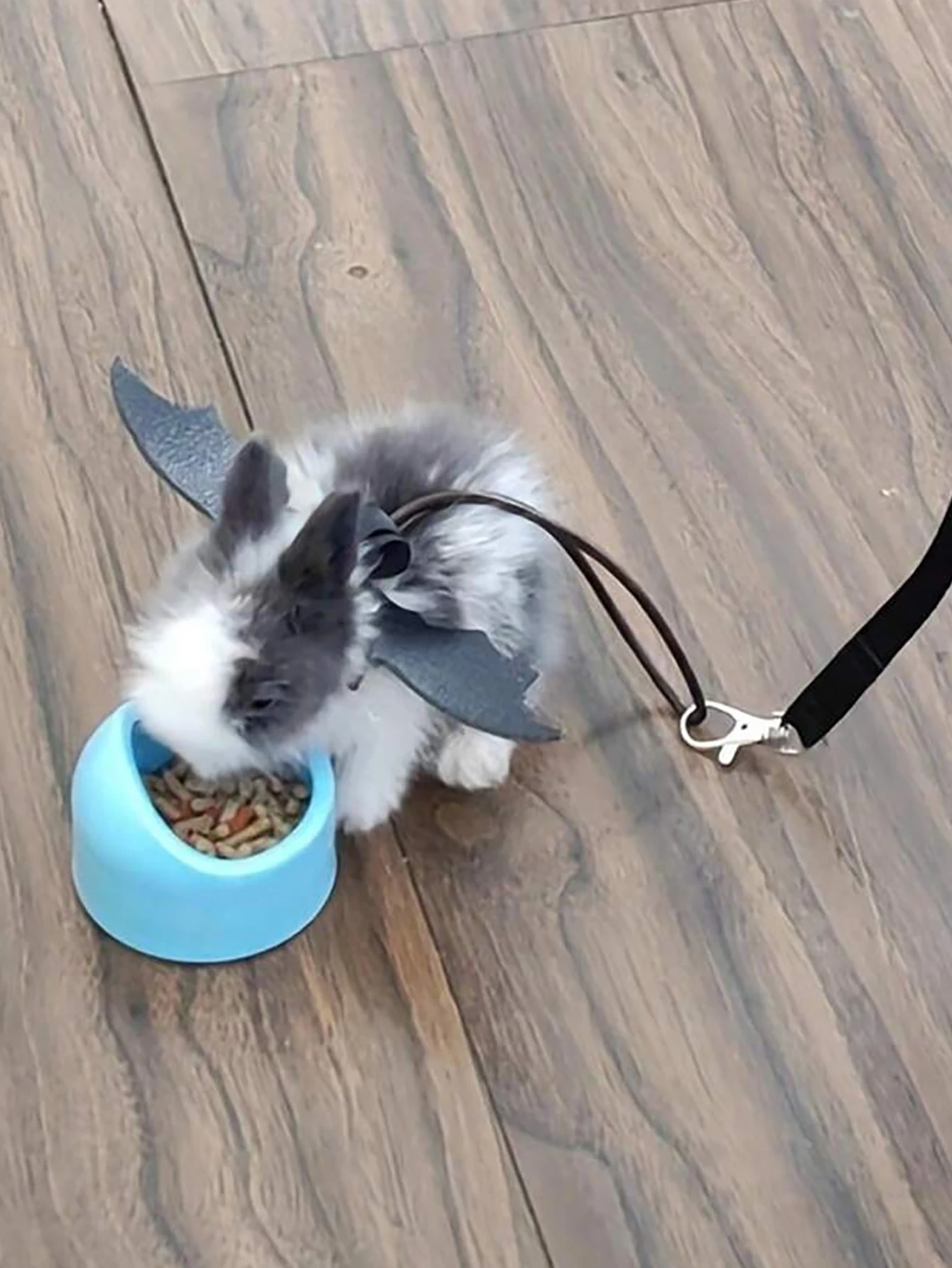 1 Stück Kleintier Hamster Zugseilgurt, Hamster Blumenzweig Ratte Ausgehen Leine – Detail 5