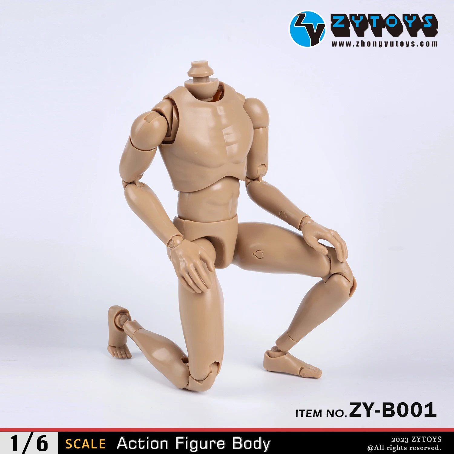 ZYTOYS 1/6 Male Body Action Figure Narrow Wide Shoulder Muscle Soldier Flexible Joints 12inch Accessories Model Collection