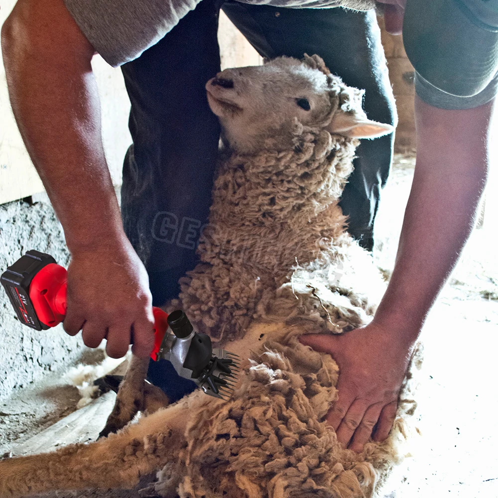 Sheep Clipper Electric Cutting Machine for Sheep Goats Hair With Lithium Battery Power