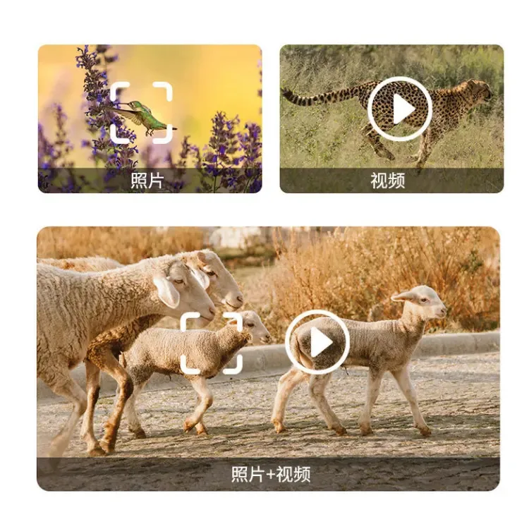 Wild Cellular 4G LTE Trail Wireless Hunting Trap Cam No Glow IR Led Wildlife Trap