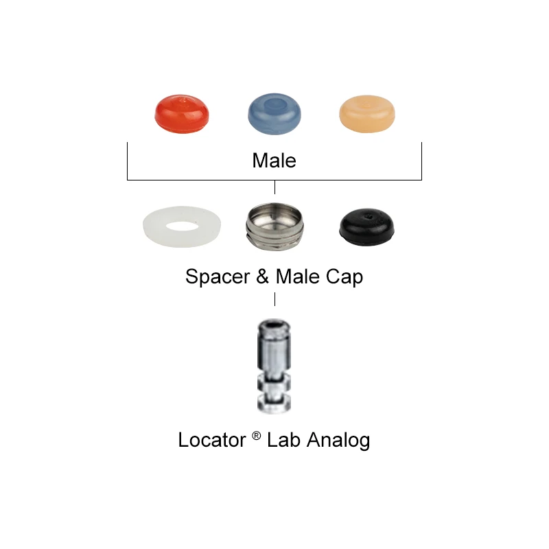 VV ทันตกรรม Implant Locator อุปกรณ์เสริมเหมาะสําหรับทันตกรรมที่ถอดออกได้ใส่และสกัด Universal Locator Core เครื่องมือ