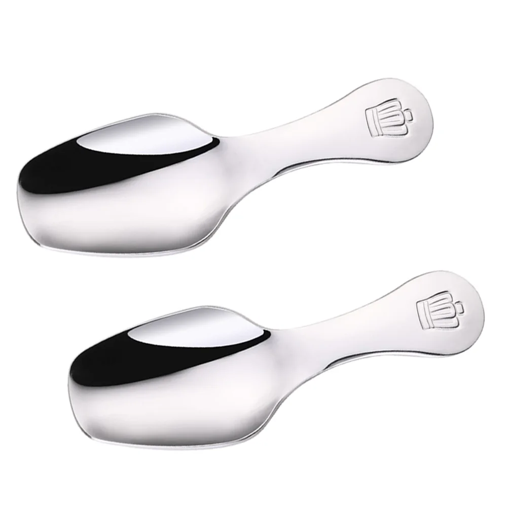 

2Pcs Stainless Steel Dessert Spoon Compact Tea Scoop for Condiments Seasoning Salt Sugar Home and Outdoor Camping